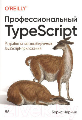 Книга Питер Профессиональный TypeScript (Черный Б.)