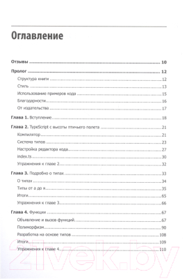 Книга Питер Профессиональный TypeScript (Черный Б.)