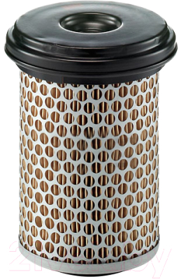 

Воздушный фильтр Mann-Filter, C30880