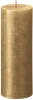 

Свеча Bolsius, Рустик Металик Shimmer 190/68 / 103667656882