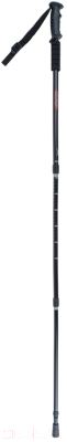 Палка для скандинавской ходьбы Onlytop 3-х секционная до 135см / 850146 (черный)