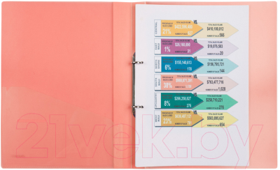 Изображение товара Папка для бумаг Axent 1207-24 (розовый, прозрачный)