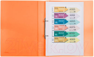 Изображение товара Папка для бумаг Axent 1207-25 (оранжевый, прозрачный)