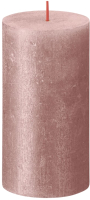 

Свеча Bolsius, Рустик Металик Shimmer 130/68 / 103667647150