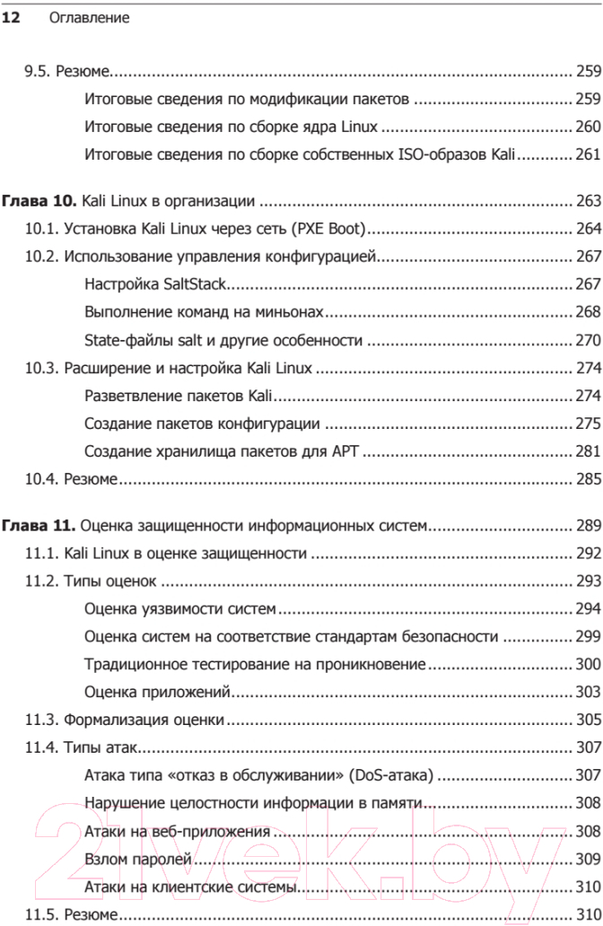 Книга Питер Kali Linux от разработчиков