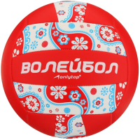 Мяч волейбольный Onlytop 892056 (размер 5) - 