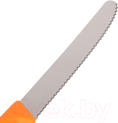 Набор ножей Victorinox Swiss Classic 6.7836.L119B