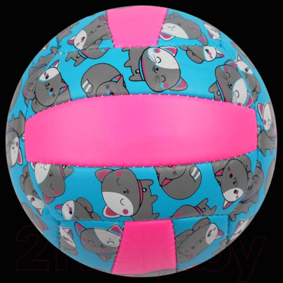Мяч волейбольный Onlytop Кошечка / 4166907 (размер 2)