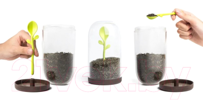 Емкость для хранения Qualy Sprout Jar / QL10205-BN