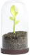 Емкость для хранения Qualy Sprout Jar / QL10205-BN - 