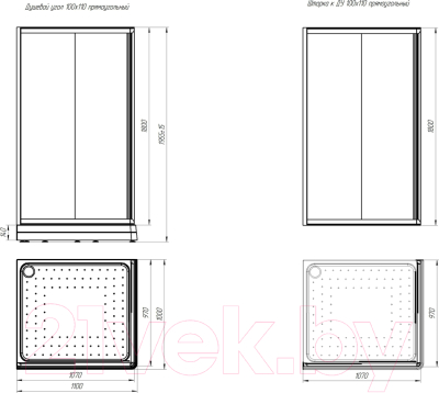 Душевой уголок Radomir 100x110 L / 1-03-6-1-0-1231 (матовое стекло)