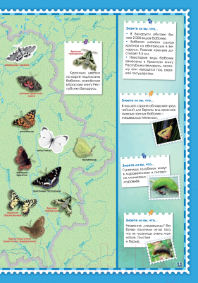 Атлас Белкартография Бабочки мира (с наклейками)