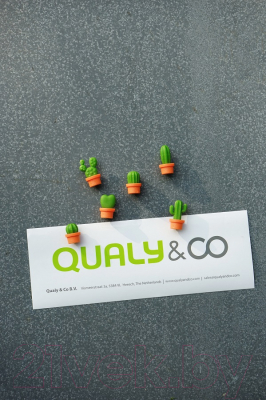 Набор магнитов декоративных Qualy Cactus / QL10288-OR-GN (6шт)