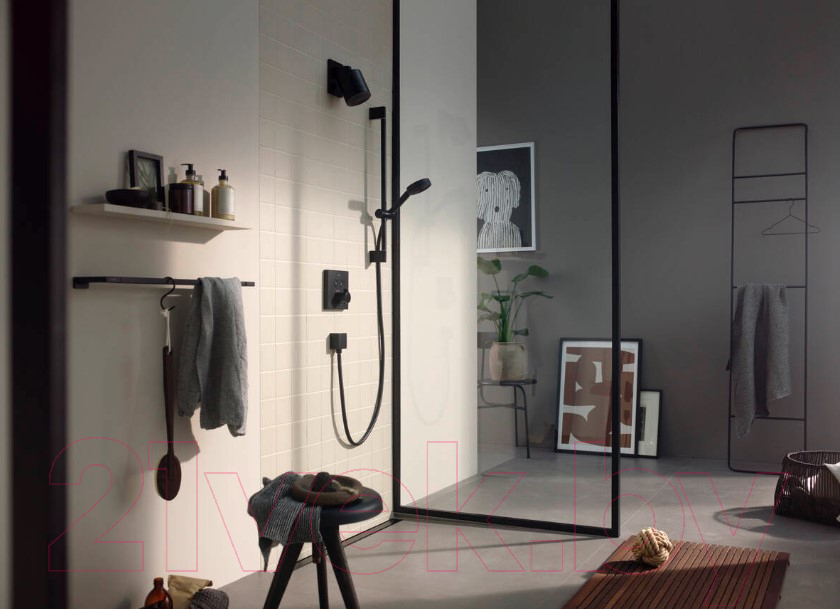 Душевой гарнитур Hansgrohe Pulsify 24160670