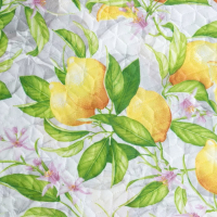 

Покрывало Экономь и я, Лимоны / 7070468