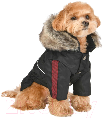 Куртка для животных Puppia Brock / PAUD-JM1851-BK-XL (черный)