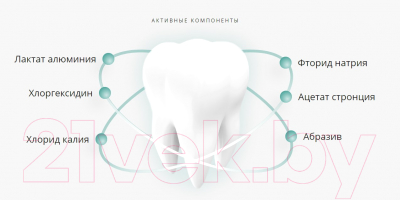 Зубная паста Lacalut Aktiv Защита десен и снижение чувствительности (65г)