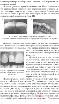 Учебник Вышэйшая школа Восстановительная стоматология (Луцкая И.)