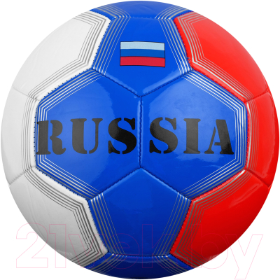 Футбольный мяч Minsa Russia 4313326 (размер 5)