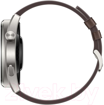 Умные часы Huawei Watch 3 Pro GLL-AL01 (коричневый)