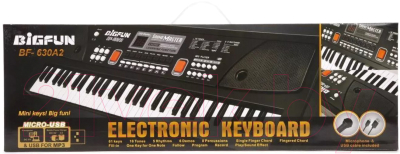 Музыкальная игрушка Наша игрушка Синтезатор Bigfun / BF-630A2