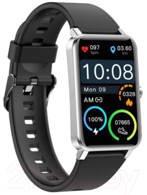 Умные часы Globex Smart Watch Fit V79 (серебристый)