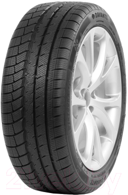 Зимняя шина Davanti Wintoura+ 215/50R17 95V