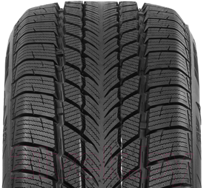 Зимняя шина Davanti Wintoura 195/55R16 87T