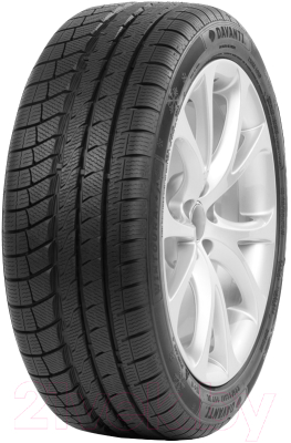 Зимняя шина Davanti Wintoura+ 255/40R19 100V