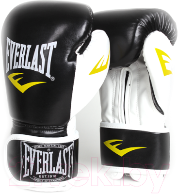 Боксерские перчатки Everlast D106 / 12oz (черный)