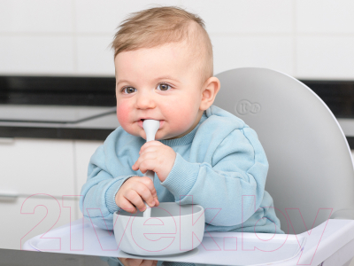 Набор столовых ложек для кормления Everyday Baby 10502 (2шт)