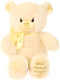 Миниатюра изображения товара Мягкая игрушка Fluffy Family Мой первый мишка / 681970 (желтый)