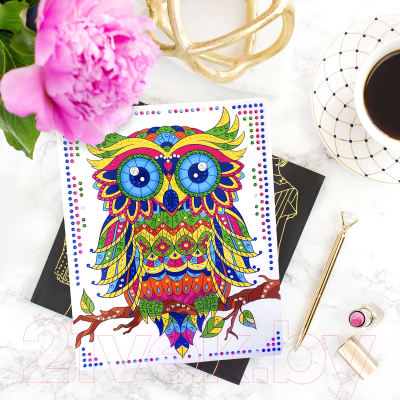 Изображение товара Набор алмазной вышивки Color Puppy Сова / 70019