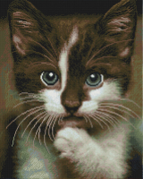 Набор алмазной вышивки PaintBoy Котенок / GF2809 - 