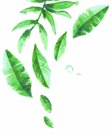 Картина по номерам PaintBoy Зеленые листья / GX5807 - 