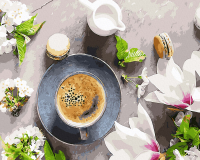 

Картина по номерам PaintBoy, Кофе и цветы / GX34314