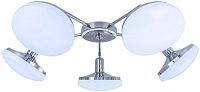 Потолочный светильник Citilux Тамбо CL716251Nz - 