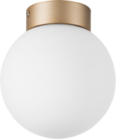 Потолочный светильник Lightstar Globo 812013 (MX8131-1B-S) - 