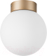 Потолочный светильник Lightstar Globo 812013 (MX8131-1B-S) - 