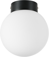 Потолочный светильник Lightstar Globo 812017 (MX8131-1B-S) - 