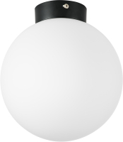 Потолочный светильник Lightstar Globo 812027 (MX8131-1B-M) - 