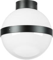 Потолочный светильник Lightstar Globo 812117 (MX8131-1A) - 