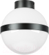 Потолочный светильник Lightstar Globo 812117 (MX8131-1A) - 