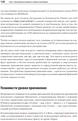 Книга Питер Безопасность контейнеров. Фундаментальный подход к защите (Райс Л.)