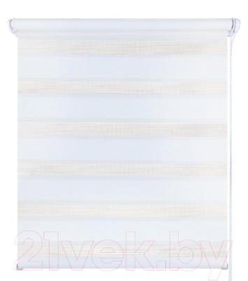 Изображение товара Рулонная штора LEGRAND День-Ночь 220x180 / 58 070 027 (снежно-белый)