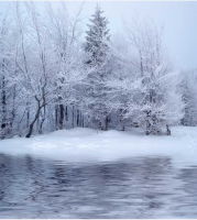 

Набор сервировочных салфеток JoyArty, Речной холод / np_21428