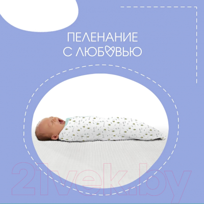 Набор пеленок-коконов детских Summer Infant Swaddlepod 58553A (розовые пчелки/голубой)