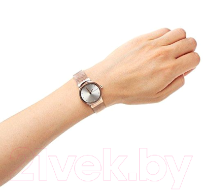 Часы наручные женские Skagen SKW2665