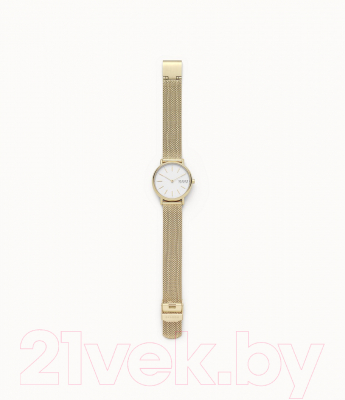 Часы наручные женские Skagen SKW2693