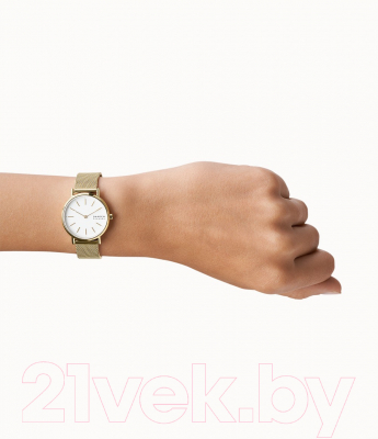 Часы наручные женские Skagen SKW2693